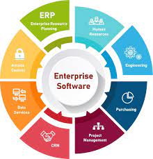 Enterprise software development